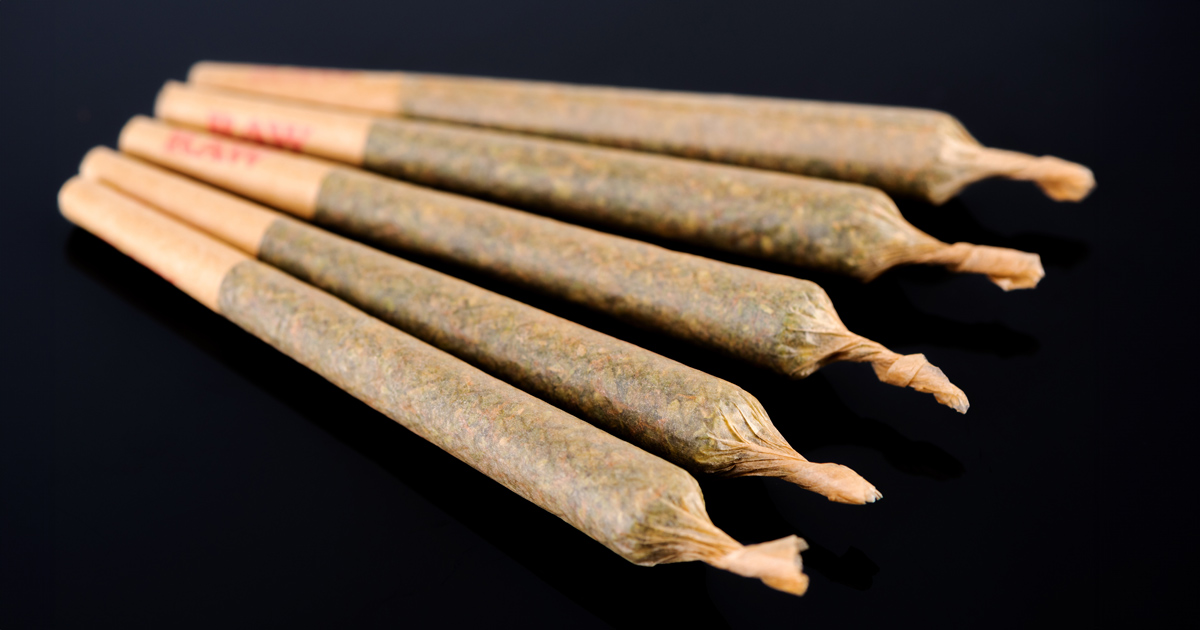 Factors-Affecting-Pre-Roll-Quality