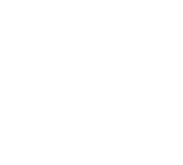 STIIIZY logo displayed.