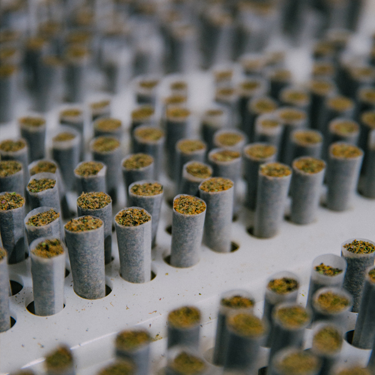 pre rolls bluntd